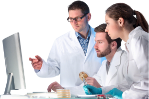 Clinical research team reviewing results